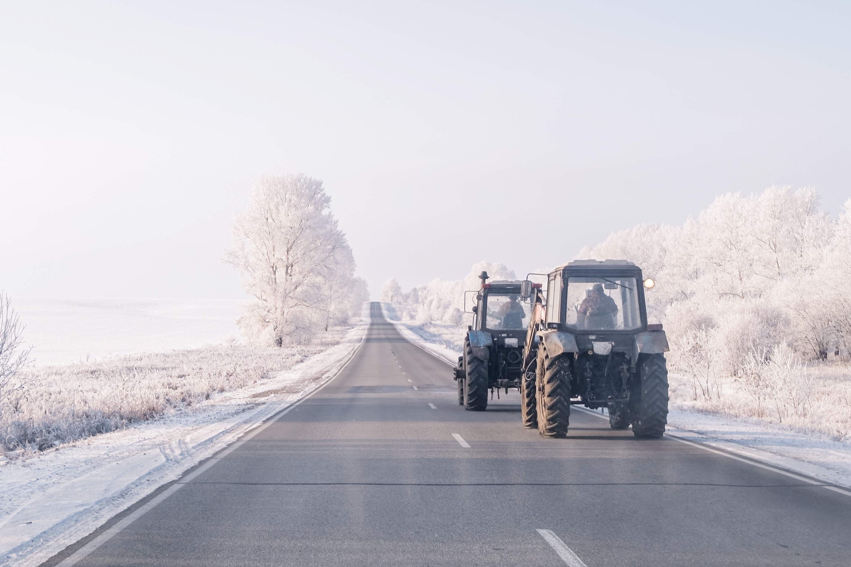 Winter-Schlepper-Treffen-Traktor_434848827.png